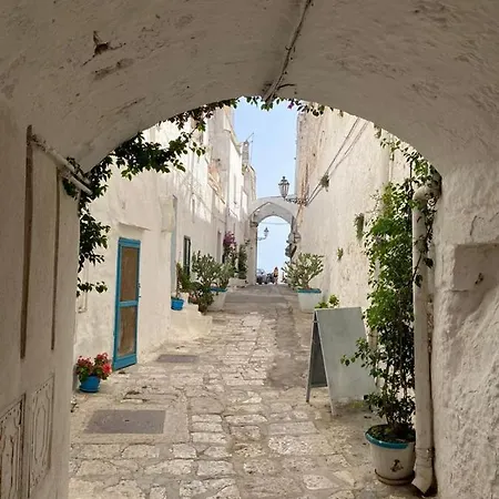 Hostunia * أوستوني